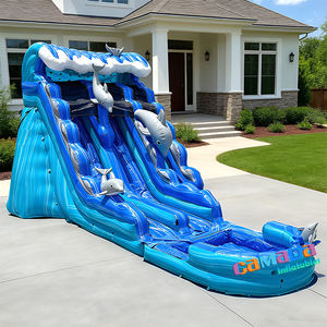 Parc aquatique gonflable commercial en PVC avec toboggan aquatique sec et toboggans gonflables pour la location événementielle et les familles - Product Image 4