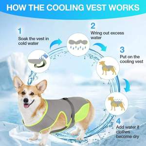 Gilet d'été personnalisé en polyester pour animaux de compagnie – Adorable chemise sans manches pour chien avec fonction rafraîchissante, lavable, prévention des coups de chaleur <span class=keywords><strong>HW</strong></span> - Product Image 4