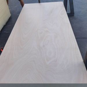 <span class=keywords><strong>Contreplaqué</strong></span> marin Okoume 18 mm 16 mm Feuille 4x8 - Imperméable Certifié E1 pour <span class=keywords><strong>bateau</strong></span> et extérieur - Product Image 1