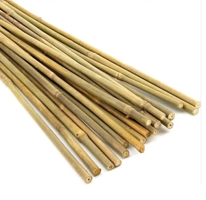 Factory Direct Natural Bamboo Round Rods Stakes <b>Poles</b> <b>for</b> Farming <b>Gardening</b> Decoration and Construction Use - Product Image 1