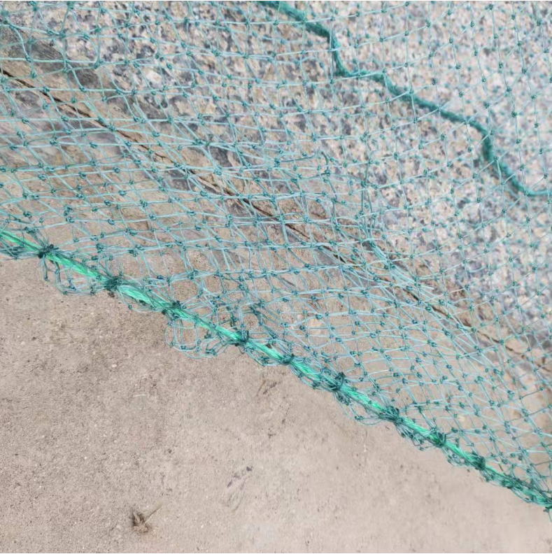 Trappola Da Pesca Pieghevole 6 Fori | Rete Per Gamberetti, Granchi Trappola Da Pesca Pieghevole 6 Fori | Rete Per Gamberetti, Granchi
