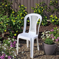 Chaise de jardin moderne blanche légère, confortable et empilable, en PP imperméable, idéale pour la cour, l'hôtel et le parc