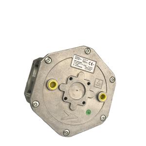 Filtro Gas <span class=keywords><strong>Pietro</strong></span> Fiorentini FMF1060600BA per Bruciatori Industriali con Alte Prestazioni di Filtrazione - Product Image 2