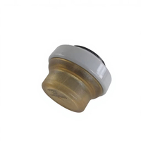 ZHENPENG APLG16 Bouchon d'extrémité à connexion rapide 16 mm, surface mate, durable pour l'installation de tuyaux d'eau en CPVC et PE-RT