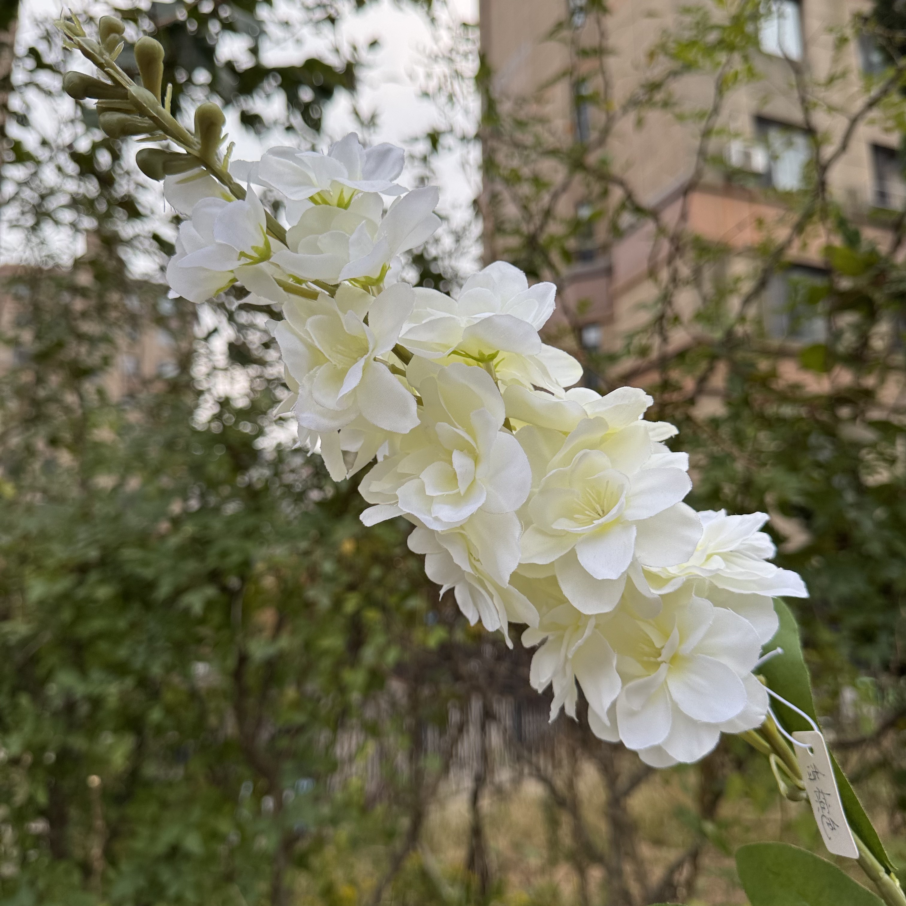 #1 blanc
