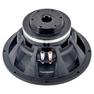 HYYX HYW-1075-031 Altoparlante Midbass Professionale al Neodimio da 10 Pollici 450W RMS 8 Ohm Passivo Line Array Professionale Sensibilità 100dB Metallo - Product Image 3