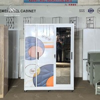 Armoire simple et moderne à 2 portes coulissantes en acier, armoire de rangement pour vêtements imperméable pour la chambre à coucher, pour l'organisation des vêtements