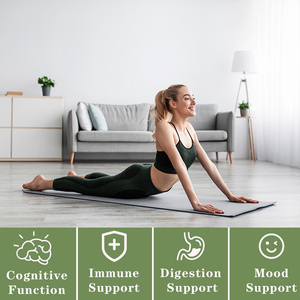 Capsules de Crinière de Lion en Gros : Complément Herbal Végétalien pour Stimuler les Fonctions Cérébrales et la Santé Immunitaire - Product Image 2