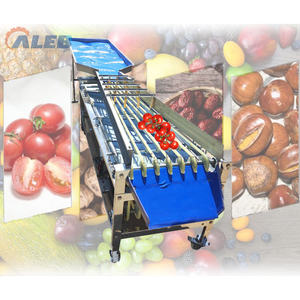 Machine de triage des fruits et légumes à faible consommation d'énergie, en acier inoxydable, pour une utilisation industrielle et agricole à long terme - Product Image 1