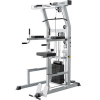 Tour de musculation multifonctionnelle pour tractions et dips, pour usage domestique et professionnel