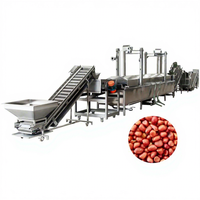 Machine de friture de collations en acier inoxydable 304 personnalisée opération facile automatique équipement de beignet à haute teneur en arachides Source d'alimentation électrique