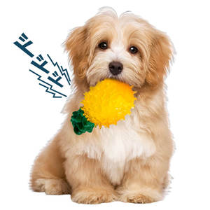 小型動物用<span class=keywords><strong>3</strong></span>パックの環境に優しいゴム製フルーツチュードッグトイレモンパイナップルスイカデザイン遊び用 - Product Image 5