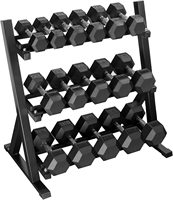 Ensemble d'haltères hexagonales solides de 20 kg pour l'exercice à domicile