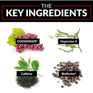 Nootrópico-Suplemento de soporte para el cerebro, para memoria y Focus, gomitas con vitamina Focus, apoyo para recuperación y nitidez - Product Image 5