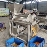 Verwerkingsapparatuur voor kiwi- en tomatensap, grote fruitpulp-pers, industriële sapcentrifuge voor sinaasappel, watermeloen