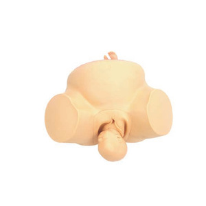 Tiên Tiến PVC Hộ Sinh Đào Tạo Mô Hình Cho Y Tế Khoa Học Sản Khoa Lao Động Thực Hành Đầu Thai Chân Không Khai Thác Cho Bình Thường - Product Image 4