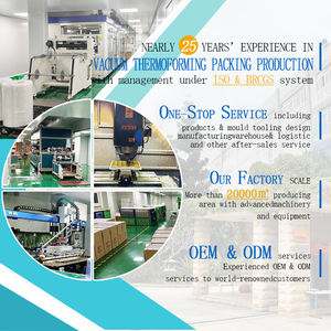 Confezione alimentare con coperchio porta via 2-4 scomparti scatola <span class=keywords><strong>per</strong></span> alimenti in plastica PP - Product Image 5