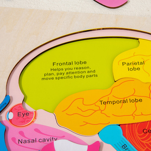 2025 nuovo Design intelligente vendita calda Unisex fabbrica di giocattoli all'ingrosso Montessori struttura precoce educativo del cervello puzzle in legno per bambini - Product Image 6