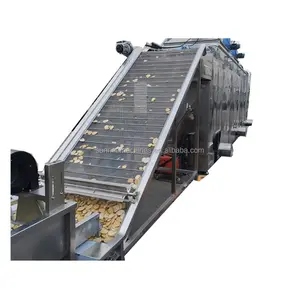 Commercial Continuous Conveyor Belt Chili Beet Carrot Fruit Mango Lemon Orange Banana Slice Drying Dryer Machine