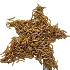 Yüksek protein mealworm kuru böcek evcil hayvan gıda tavuk ve hayvan yemi için kurutulmuş mealworms