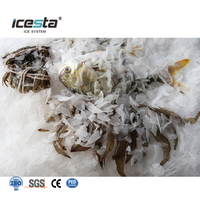 Machine à glace en flocons d'eau de mer ICESTA |   Unité automatique fiable de 1 tonne pour bateau de pêche