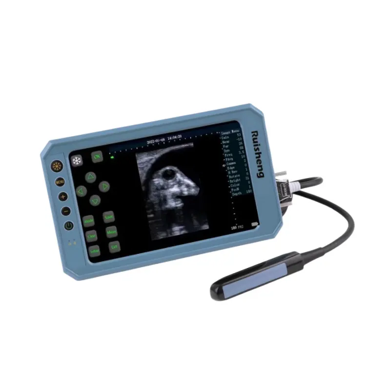 Handheld good image quality application to big animal veterinary ultrasound scanner machine T6