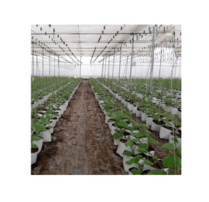 Invernadero Agrícola Económico de Cuerda Metálica, Duradero y Accesible, con Malla de Sombra Resistente a los Rayos UV para Vegetales - Product Image 6