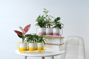 Dropshipping fioriere in ceramica vasi da <span class=keywords><strong>fiori</strong></span> in ceramica da <span class=keywords><strong>disegno</strong></span> a mano con foro di drenaggio supporto rettangolare in ferro di colore sfumato per la casa - Product Image 2