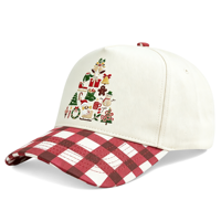 Casquette de baseball structurée à 5 panneaux en 100 % coton, personnalisée OEM HBA54, visière incurvée, broderie 3D, unisexe, pour décorations de fêtes, vente en gros