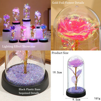 Rose enchantée LED en verre sous cloche, plaquée or 24 carats, lampe à fleur éternelle, cadeaux de Saint-Valentin pour elle, maman, femme