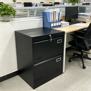 Armadio Archivio in Metallo, Armadietto Metallico, Armadietti per Archiviazione in Acciaio, <span class=keywords><strong>Mobile</strong></span> Archivio per Ufficio <span class=keywords><strong>con</strong></span> 2 Cassetti - Product Image 2