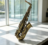 Vintage Finish Alto Saxophone Professional Musical Instrument for Adults