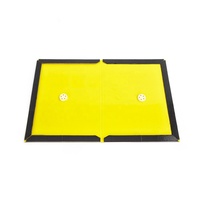 Produit professionnel de lutte antiparasitaire, plaque collante pour souris, piège à colle pour rats