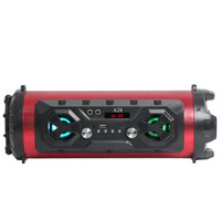 Sistema de Altavoces de Sonido Envolvente para Karaoke de 10w, Sistema de Altavoces para Fiestas, Baile, DJ, con Batería Integrada, Reproductor de MP3 y Radio FM