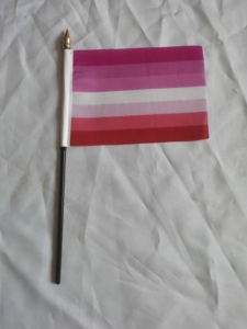 Poliéster 4x6 pulgadas LGBTQ Sin etiqueta Orgullo sexual Bandera de palo de mano con poste negro sólido para el mes del orgullo - Product Image 2