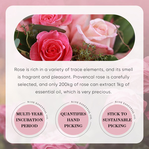 100% aceites esenciales puros orgánicos 10Ml lavanda Natural Romero bergamota <span class=keywords><strong>Manzanilla</strong></span> Rosa extracto aromaterapia aceite de masaje corporal - Product Image 6