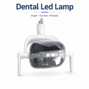 <span class=keywords><strong>Lampe</strong></span> LED dentaire 5W à fixation au <span class=keywords><strong>plafond</strong></span>, lumière chirurgicale dentaire, <span class=keywords><strong>lampe</strong></span> d'examen buccal médical à induction pour clinique dentaire - Product Image 1