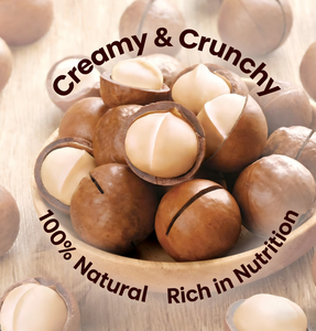 Noix de <span class=keywords><strong>macadamia</strong></span> de qualité supérieure 25-28 mm |   Noix de <span class=keywords><strong>macadamia</strong></span> au goût crémeux en provenance du Yunnan, Chine |   Collations saines légèrement transformées et non frites - Product Image 5