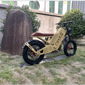 <span class=keywords><strong>2022</strong></span> Lohas conception de qualité supérieure vélo hybride électrique 2000W Mid Drive haute puissance avec batterie de marque Mid Drive Motor Cycle - Product Image 2