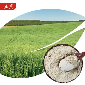 燕麦麸粉营养精选