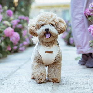 Bộ dây dắt chó mèo Vpetbr 2025 OEM cao cấp, thiết kế sang trọng, bền chắc, dệt thủ công, kiểu chiến thuật, không bị kéo, kèm dây dẫn, bộ dây đai cho thú cưng, chó con, chó trưởng thành - Product Image 3