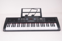 61 Keys Professional Electronic Organ Musical Instruments Electric Keyboard Piano
