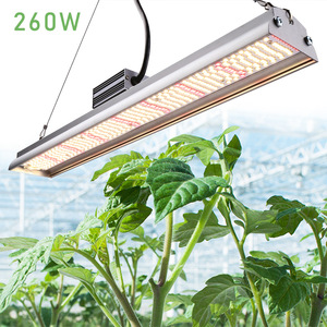 Tira de Luz <span class=keywords><strong>LED</strong></span> Lineal de Espectro Completo Profesional de 50w 70W 100W 200W Equivalente para Cultivo en Invernaderos Comerciales - Product Image 5