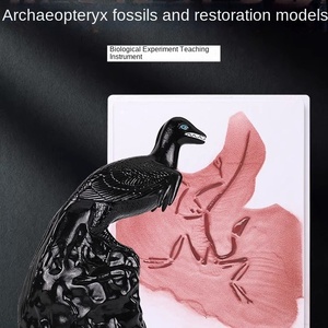 पुरातत्व जीवाश्म पुनर्स्थापना मॉडल प्लास्टिक कंकाल मॉडल ऑर्निथोसे वर्गीकरण पक्षी मूल विकास - Product Image 4
