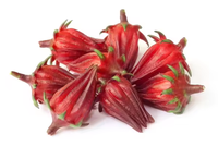 Extrait de fleur d'hibiscus pur de qualité alimentaire 10:1, emballé sous vide, certifié ISO9001, conditionnement en fût/bouteille