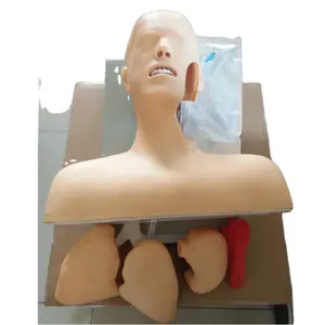 Hot sell human intubation with alarm device adult trachea intubation training manikin