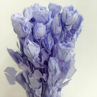 Mawar Chacha Multiflora yang Diawetkan |   Buket Bunga Kering ETERNAL Tie-dye Pelangi 50-60cm untuk Dekorasi Pernikahan dan Rangkaian Bunga Meja