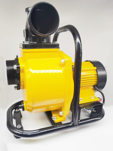 Pompe centrifuge auto-amorçante de 1 pouce 750 W pour l'irrigation agricole, pompe centrifuge auto-amorçante LXXP-25, pompe à eau solaire - Product Image 5