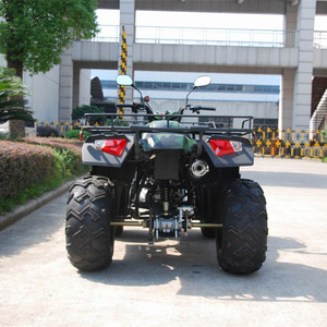 Nuovo 250cc,CVT atv per gli adulti, CVT moto a quattro <span class=keywords><strong>ruote</strong></span> - Product Image 5
