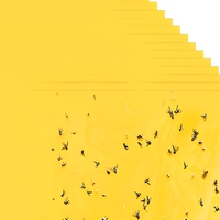 Piège collant double face jaune 20 pièces pour insectes, mouches des fruits, moucherons, mouches blanches, pour serres et jardins intérieurs
